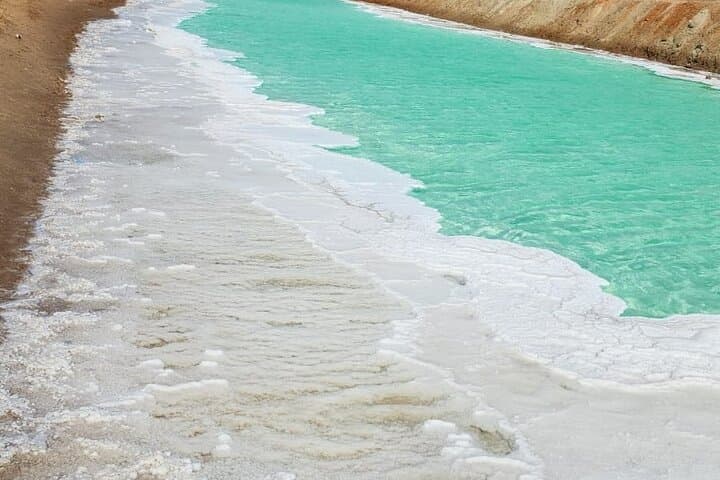Al Wathba Salt Lake & Camel Race Track Tour from Abu Dhabi — Salt Flats and Camel Racing photo 4