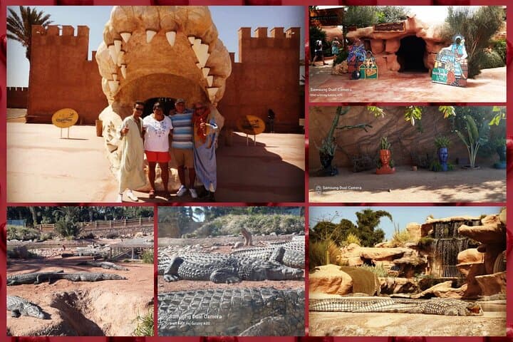 Trip to Croco Park Agadir: Crocodiles, Botanical Garden & Hotel Pickup photo 1