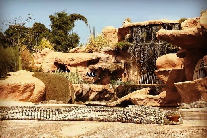 Trip to Croco Park Agadir: Crocodiles, Botanical Garden & Hotel Pickup photo 4
