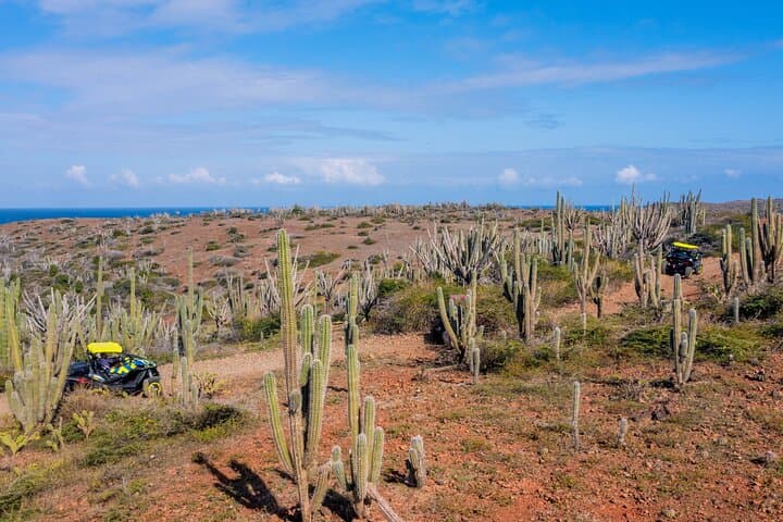 Drive Aruba's Wild North: UTV Safari to Bushiribana & Blackstone Beach photo 5