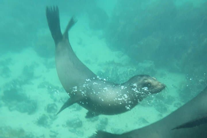 Galapagos Enchanting 3 Islands: 5-Day Wildlife & Snorkel Journey from Puerto Ayora photo 6