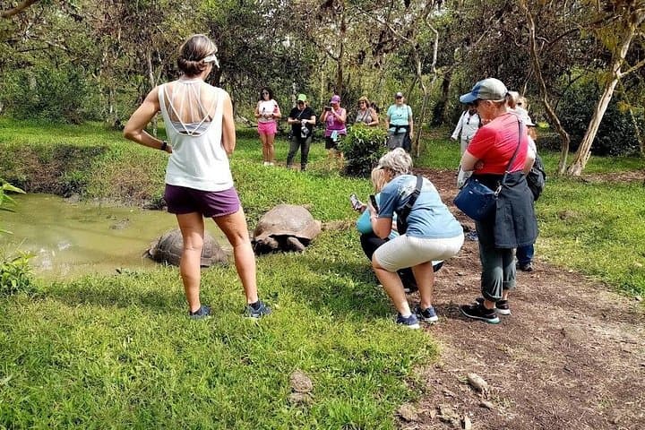 Galapagos Enchanting 3 Islands: 5-Day Wildlife & Snorkel Journey from Puerto Ayora photo 5