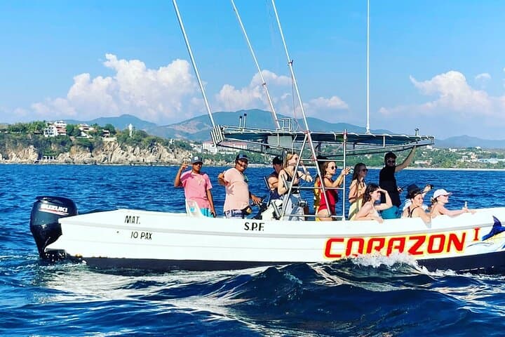 Puerto Escondido Dolphin & Whale Watching: 3-Hour Panga & Snorkel Experience photo 6