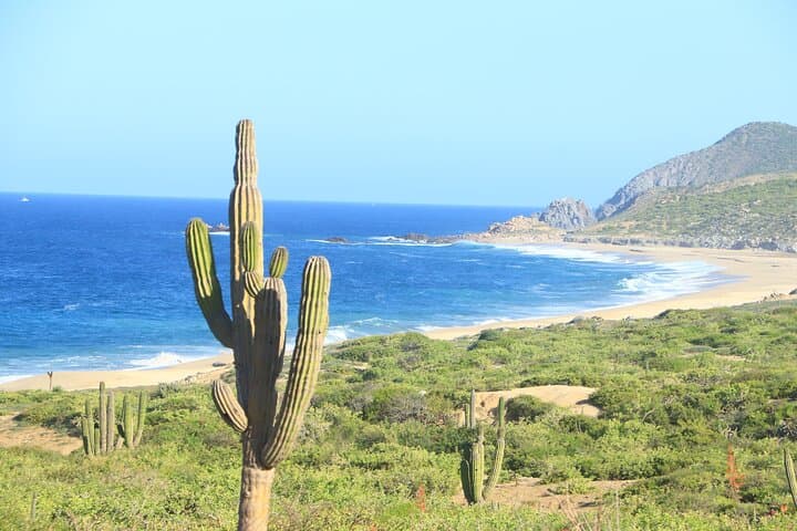 Side-by-Side Sport Adventure: Baja Off-Road Ride from Cabo San Lucas photo 4