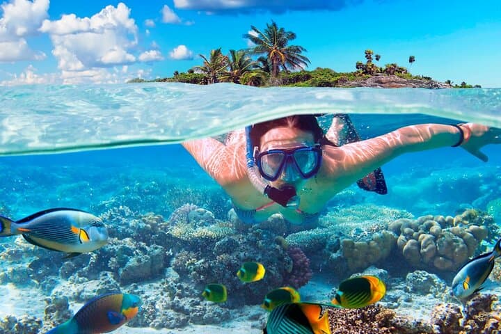 Punta Cana Dune Buggy & Snorkeling Cruise — Macao Beach Full-Day Adventure