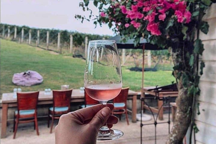 Taste Waiheke: 4.5‑Hour Private Scenic Wine Tour with Up to 12 Tastings photo 2