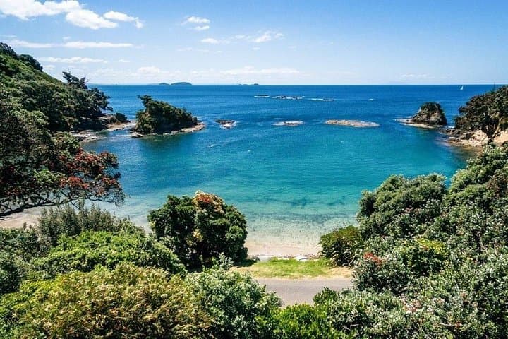 Taste Waiheke: 4.5‑Hour Private Scenic Wine Tour with Up to 12 Tastings photo 1