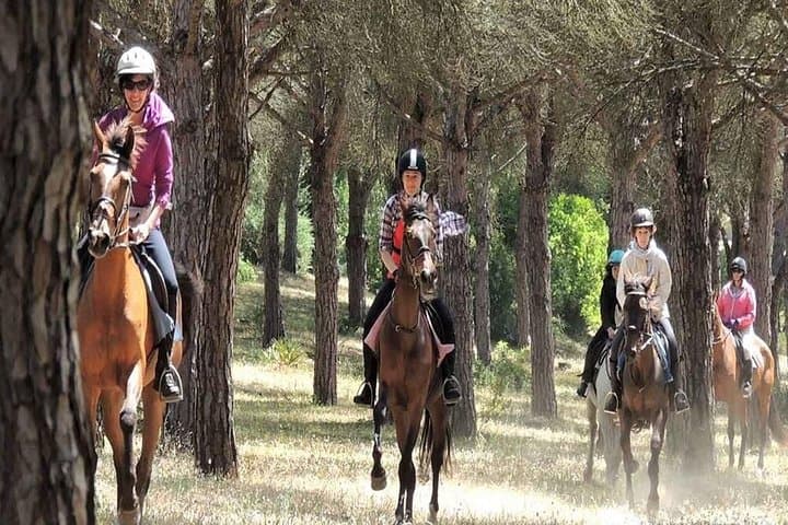 Kemer Horse Safari Experience: Forest Horseback Ride with Free Hotel Transfer photo 3