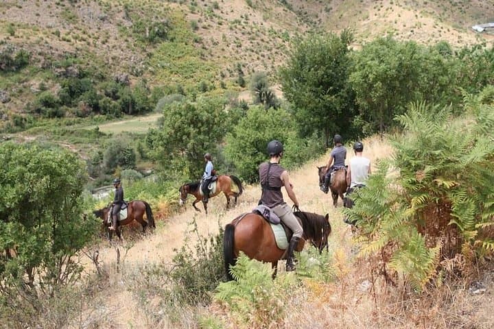 Kemer Horse Safari Experience: Forest Horseback Ride with Free Hotel Transfer photo 4