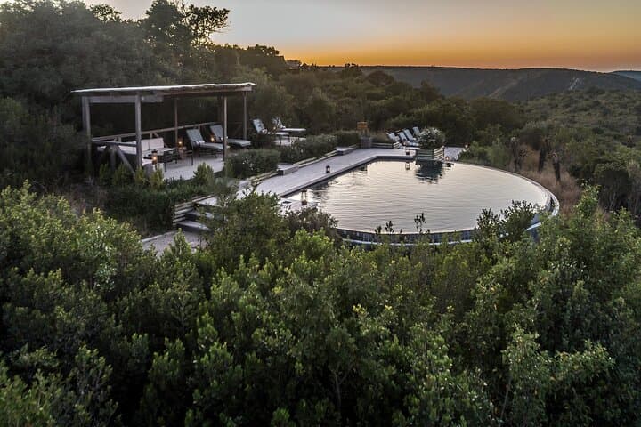 Big 5 Safari at Kariega & Addo: Luxury Lodge Safaris and Marine Wildlife from Port Elizabeth