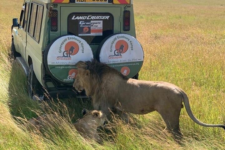 9-Day Kenya Best-Of Wildlife Safari: Amboseli, Aberdares, Samburu & Masai Mara photo 5