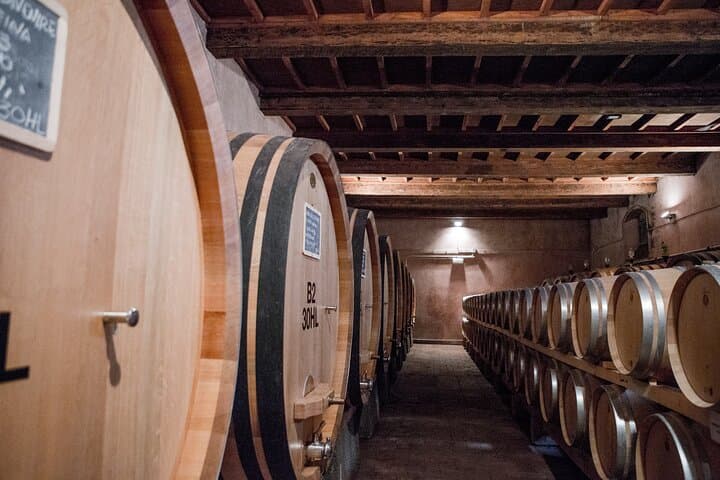 Horseback Ride to a Tuscan Castle with Wine Tasting Near Florence photo 4