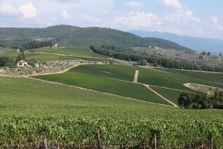 Horseback Ride to a Tuscan Castle with Wine Tasting Near Florence photo 5