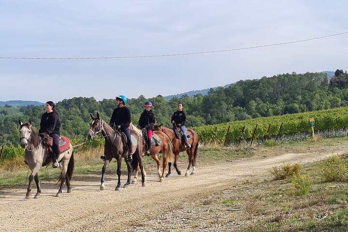 Horseback Ride to a Tuscan Castle with Wine Tasting Near Florence photo 3