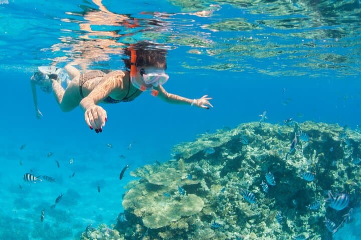Full-Day Marsa Mubarak Snorkel and Intro Scuba with Lunch — Marsa Alam photo 3