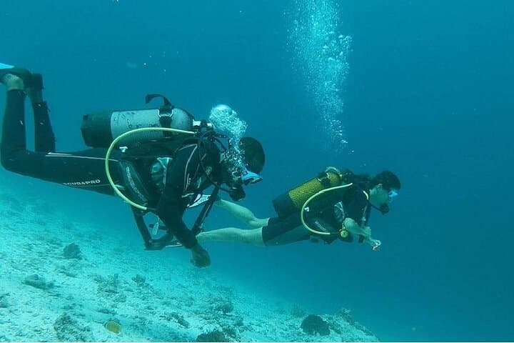 Zanzibar 4-Day PADI Open Water Course: Dive Mnemba Atoll and Certify in the Indian Ocean