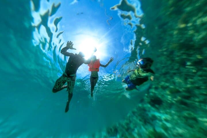 Zanzibar 4-Day PADI Open Water Course: Dive Mnemba Atoll and Certify in the Indian Ocean photo 5