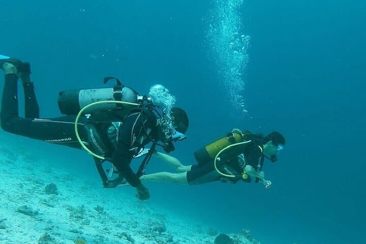 Zanzibar 2-Day PADI Advanced Open Water Course — Deep Reef Diving to 100 ft photo 5