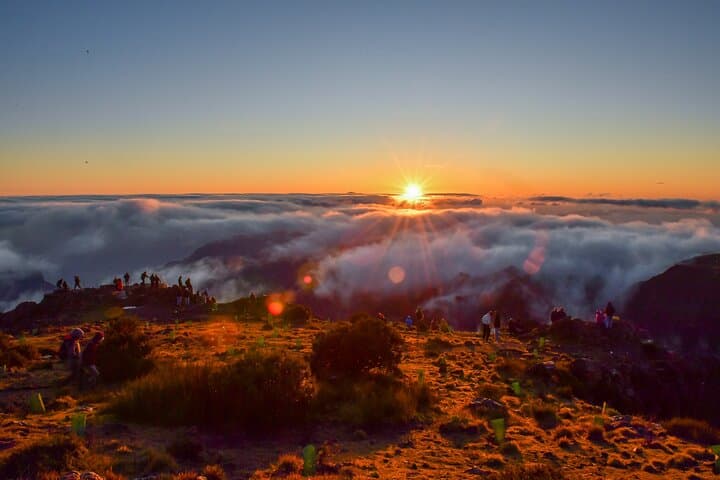 Luxury Private Madeira Road Tour Through Laurisilva & Waterfalls