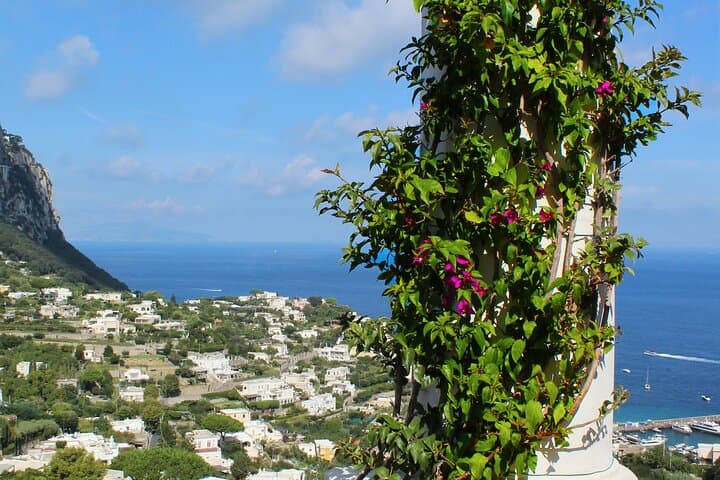 Capri Blue Grotto Day Trip from Rome: Ferry, Lunch & Island Walk photo 3