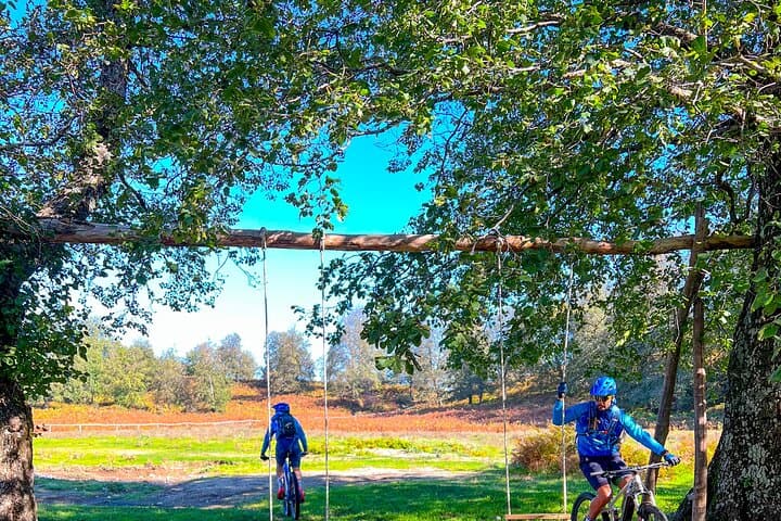 Sorrento E‑Bike Adventure: Olive Oil & Lemon Tasting in Massa Lubrense photo 3