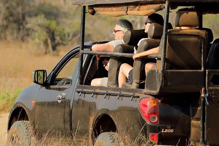 Budget Wilpattu Safari from Colombo — Jeep Safari to See Leopards and Elephants photo 2