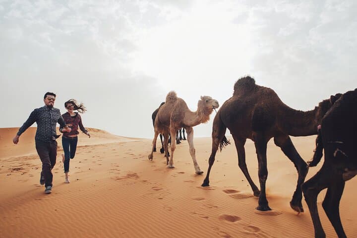 8-Day Private Journey to the Sahara: Marrakech to Casablanca Desert & Imperial Cities Tour photo 3