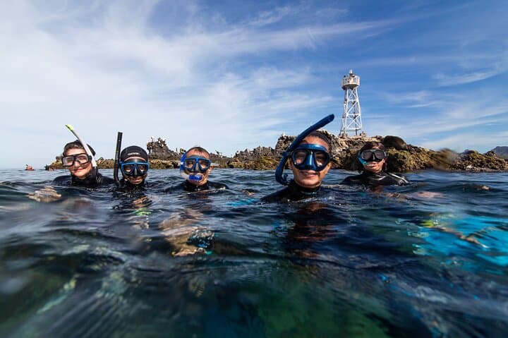 Espíritu Santo Island small-group snorkel and sightseeing tour from La Paz photo 5