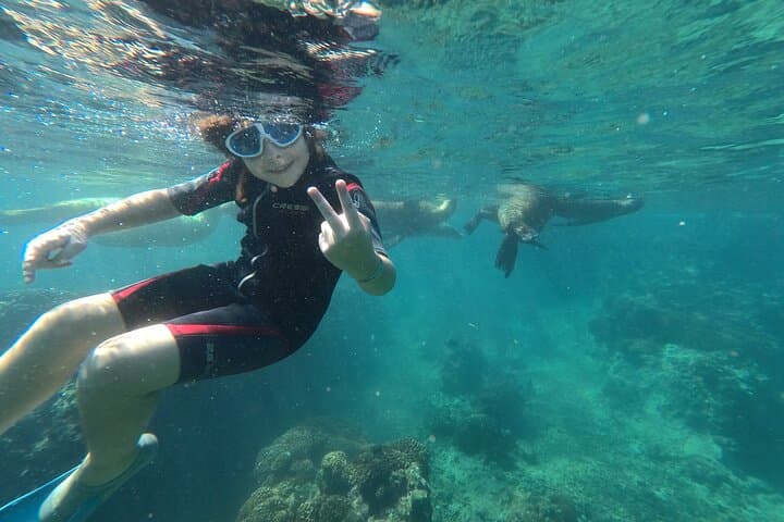 Espíritu Santo Island small-group snorkel and sightseeing tour from La Paz photo 3