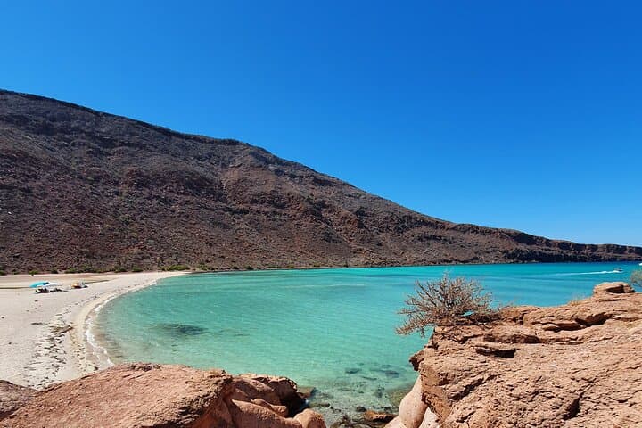 Espíritu Santo Island small-group snorkel and sightseeing tour from La Paz photo 6