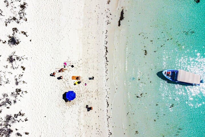 Espíritu Santo Island small-group snorkel and sightseeing tour from La Paz