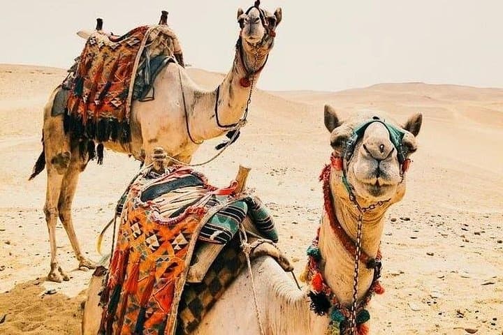 5-Day Luxury Sahara Desert Tour From Marrakech — Merzouga & Erg Chebbi