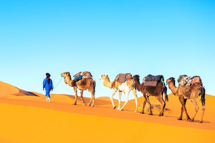 Luxury Sahara 3-Day Private Journey from Marrakech to Fez via Erg Chebbi photo 3