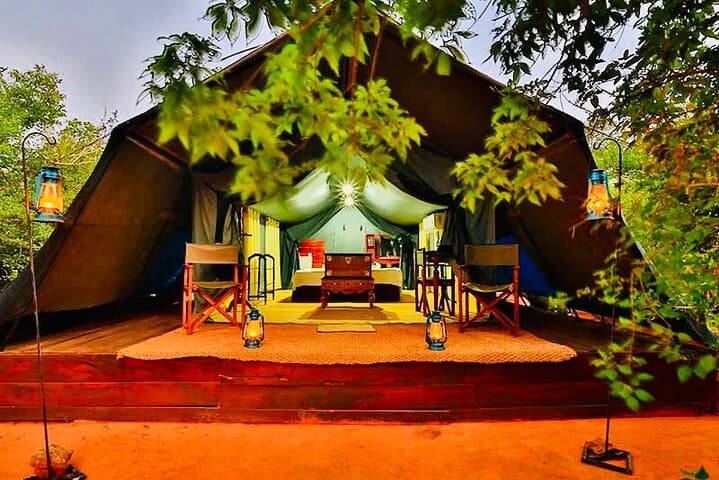 Overnight Yala Safari: Luxury Tented Camping & Leopard 4x4 from Ella photo 4