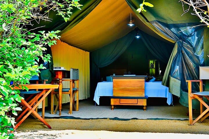 Overnight Yala Safari: Luxury Tented Camping & Leopard 4x4 from Ella photo 5