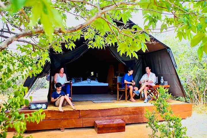 Overnight Yala Safari: Luxury Tented Camping & Leopard 4x4 from Ella photo 6
