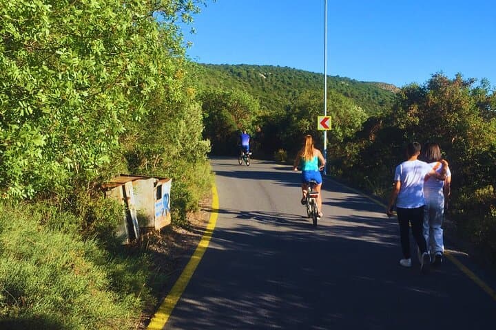 E-Bike Büyükada: Guided Princes' Islands Ride from Istanbul photo 3