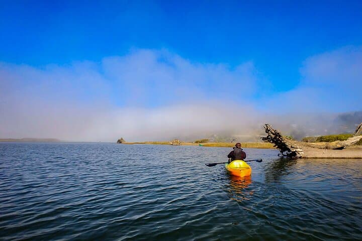 Russian River Kayak Tour at Sonoma Coast: Jenner Kayaking & Wildlife photo 3