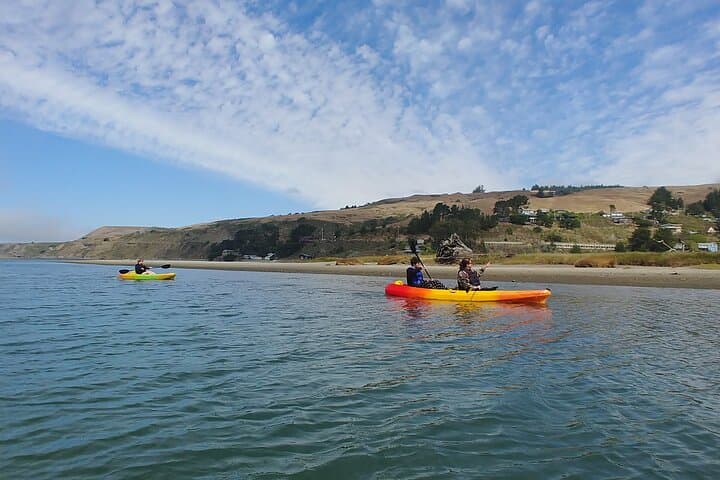 Russian River Kayak Tour at Sonoma Coast: Jenner Kayaking & Wildlife photo 4