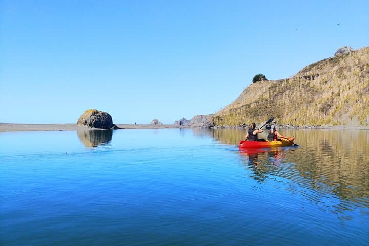 Russian River Kayak Tour at Sonoma Coast: Jenner Kayaking & Wildlife photo 6