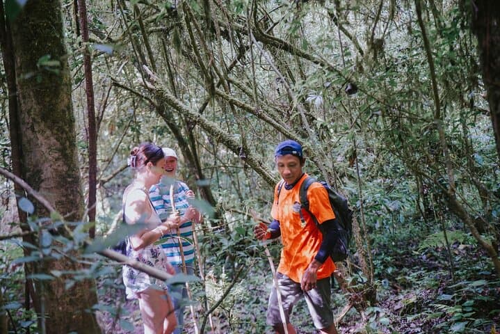 Bali Twin Lake Trekking and Canoeing: Tamblingan & Buyan Day Tour photo 2