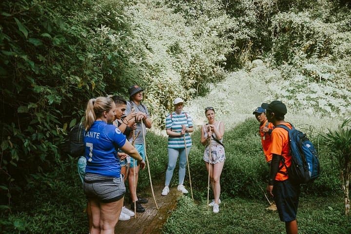 Bali Twin Lake Trekking and Canoeing: Tamblingan & Buyan Day Tour photo 3