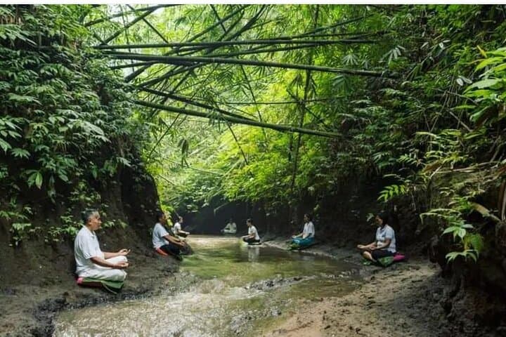Balinese Spiritual Healing: Palm Reading, Purification & Usada Bali Consultation