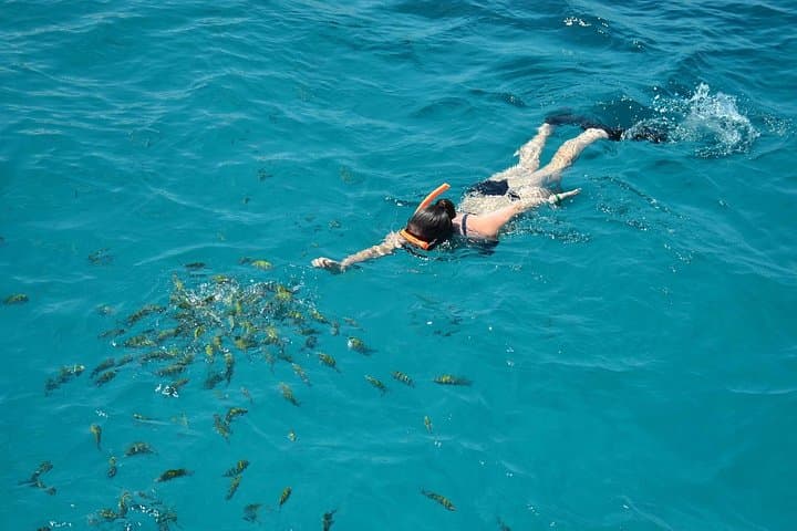 Catamaran Party Cruise and Dunn's River Falls: Snorkel, Sail & ATV Adventure photo 4