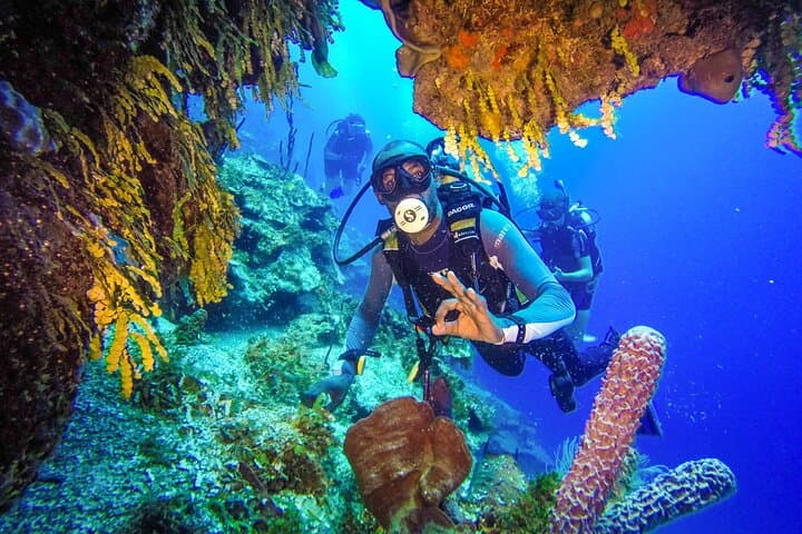 Punta Cana Reef Diving Adventure: Catamaran Dives & Coastal Snorkeling photo 5