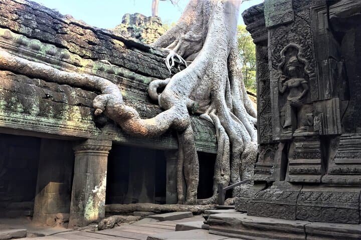 Angkor Iconic Temples Sunrise Tour — Angkor Wat, Ta Prohm & Angkor Thom