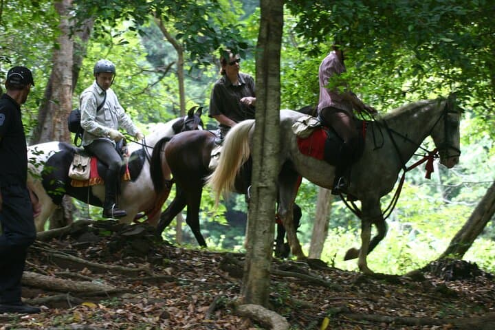 Half-Day Horse Riding in Dambulla: Ride Through Villages to Sigiriya's Lion Rock photo 2