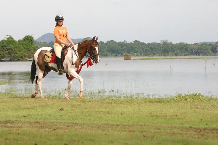Half-Day Horse Riding in Dambulla: Ride Through Villages to Sigiriya's Lion Rock photo 3