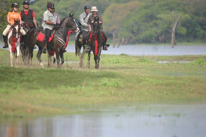 Half-Day Horse Riding in Dambulla: Ride Through Villages to Sigiriya's Lion Rock photo 4