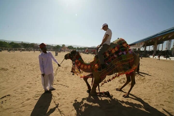 Day Trip to Pushkar from Jaipur: Brahma Temple, Camel Safari & Pushkar Lake photo 6